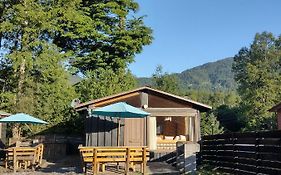 Cabañas Roka Caburgua